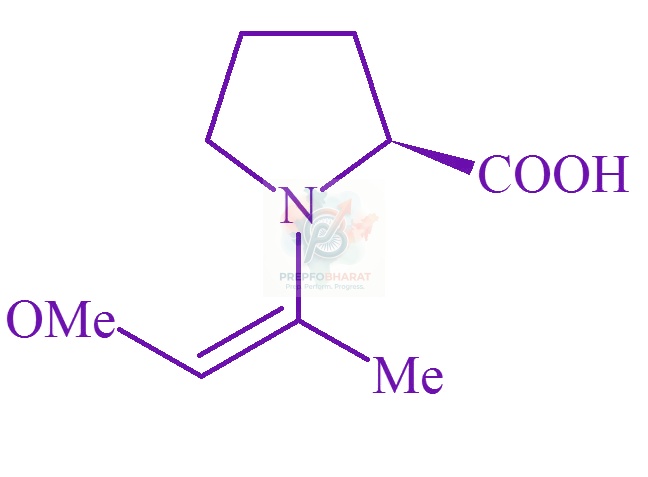 JEE Main 2022 Chemistry, Amines — option D figure
