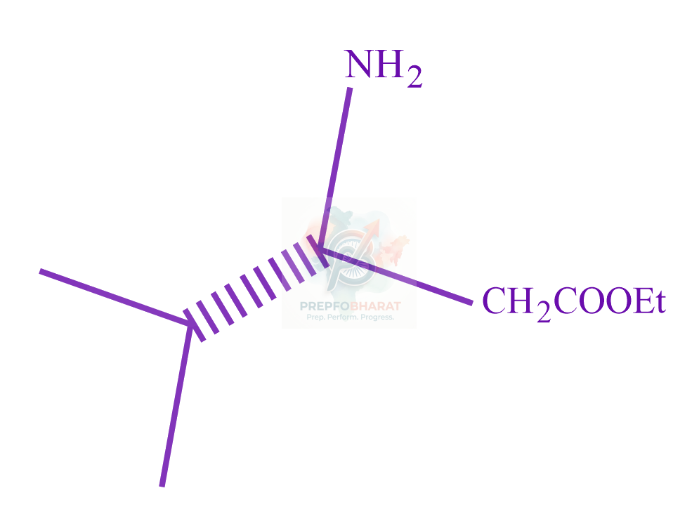 JEE Main 2023 Chemistry, Amines — option D figure