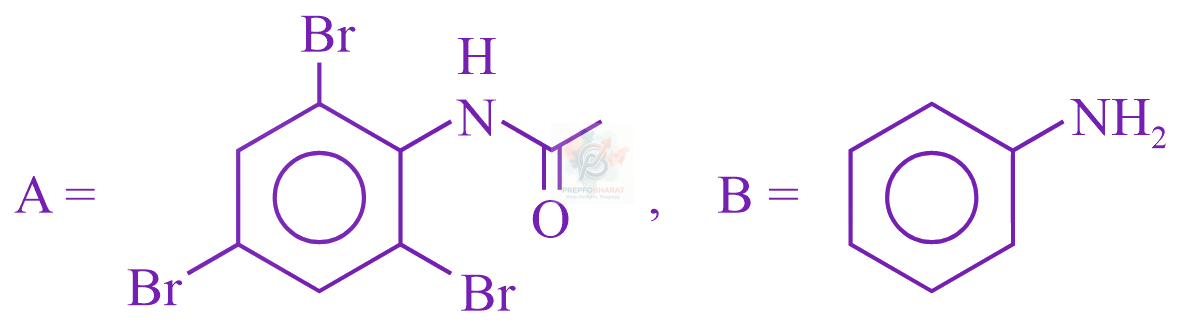 JEE Main 2023 Chemistry, Amines — option B figure