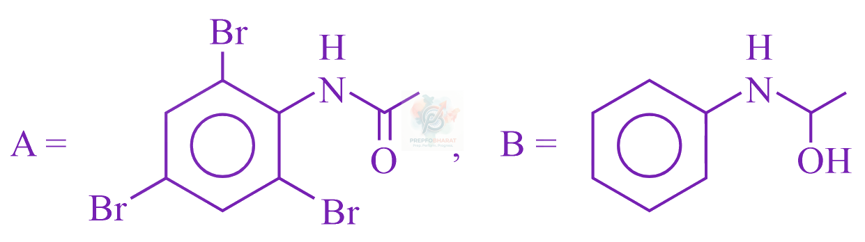 JEE Main 2023 Chemistry, Amines — option D figure
