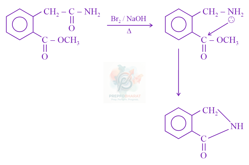JEE Main 2023 Chemistry, Amines — solution figure