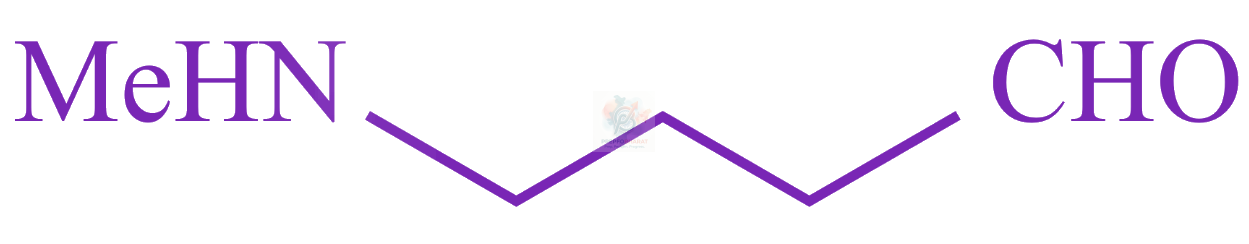 JEE Main 2023 Chemistry, Amines — option D figure
