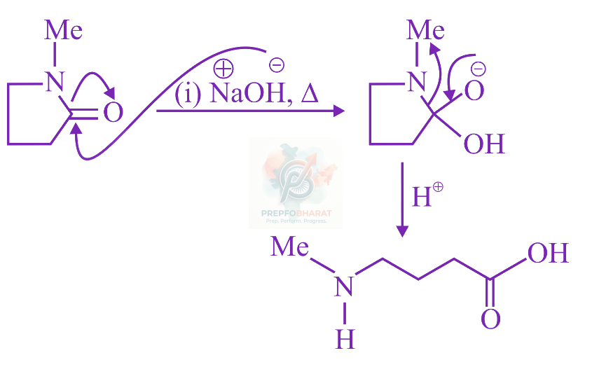 JEE Main 2023 Chemistry, Amines — solution figure