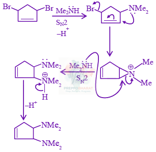 JEE Main 2024 Chemistry, Amines — solution figure