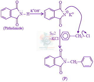 JEE Main 2024 Chemistry, Amines — solution figure