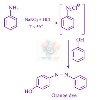 JEE Main 2024 Chemistry, Amines — solution figure