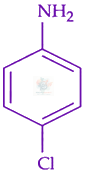 JEE Main 2024 Chemistry, Amines — option B figure