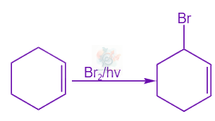JEE Main 2024 Chemistry, Amines — solution figure 2