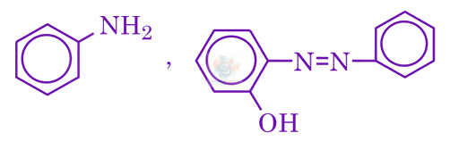JEE Main 2024 Chemistry, Amines — option D figure