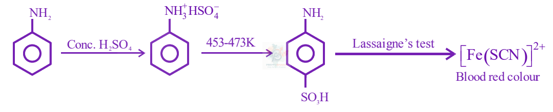 JEE Main 2024 Chemistry, Amines — solution figure