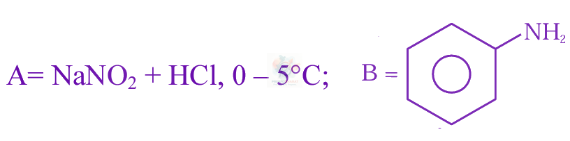 JEE Main 2024 Chemistry, Amines — option B figure