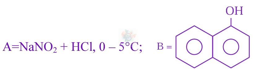 JEE Main 2024 Chemistry, Amines — option C figure