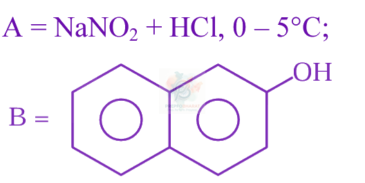 JEE Main 2024 Chemistry, Amines — option D figure