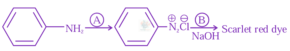 JEE Main 2024 Chemistry, Amines — question figure