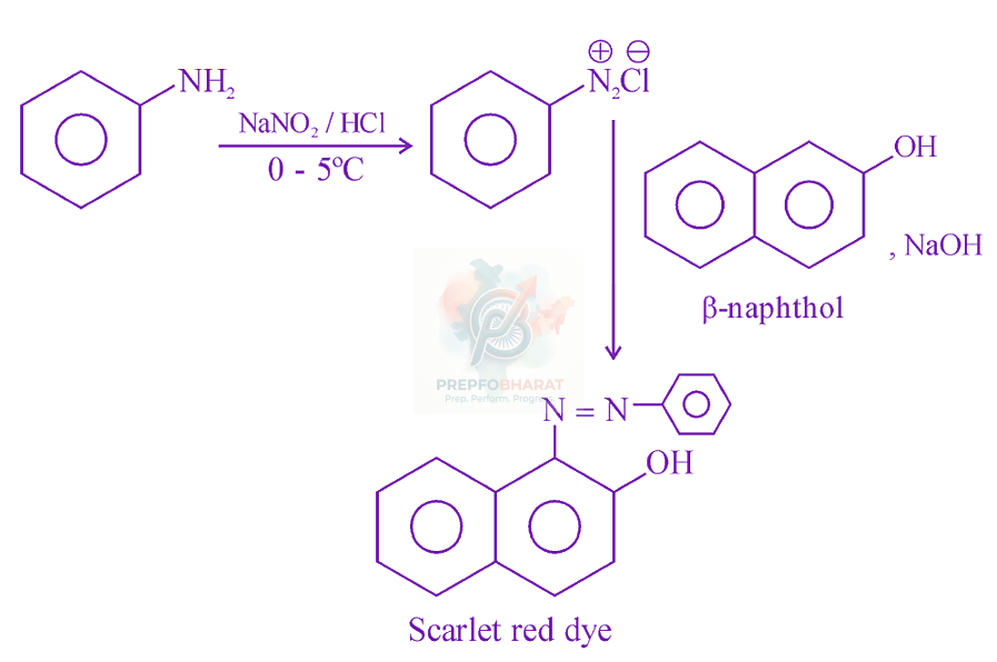 JEE Main 2024 Chemistry, Amines — solution figure 1