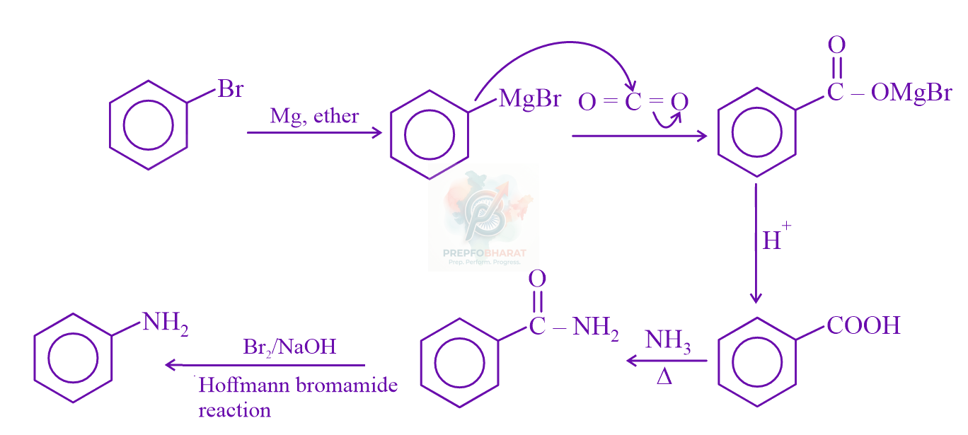 JEE Main 2024 Chemistry, Amines — solution figure