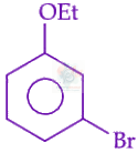 JEE Main 2025 Chemistry, Amines — option B figure