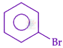 JEE Main 2025 Chemistry, Amines — option C figure