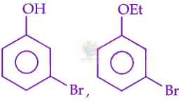JEE Main 2025 Chemistry, Amines — option D figure