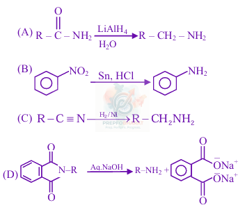 JEE Main 2025 Chemistry, Amines — solution figure