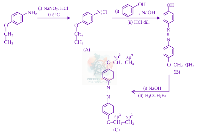 JEE Main 2025 Chemistry, Amines — solution figure