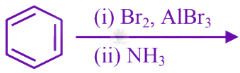 JEE Main 2025 Chemistry, Amines — option B figure