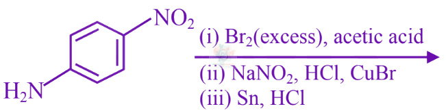JEE Main 2025 Chemistry, Amines — option C figure