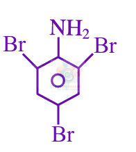 JEE Main 2025 Chemistry, Amines — option C figure