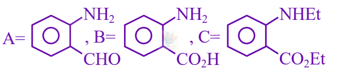 JEE Main 2025 Chemistry, Amines — option D figure