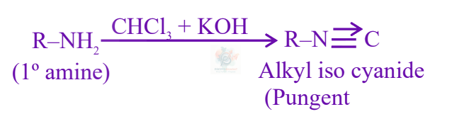 JEE Main 2025 Chemistry, Amines — solution figure