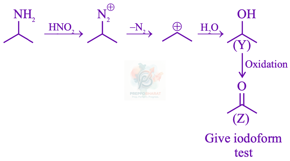 JEE Main 2026 Chemistry, Amines — solution figure