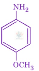 JEE Main 2026 Chemistry, Amines — option B figure