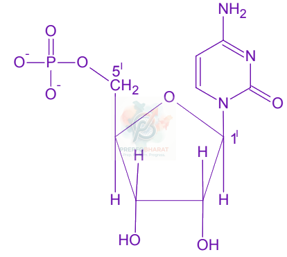 JEE Main 2005 Chemistry, Biomolecules — solution figure