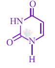 JEE Main 2013 Chemistry, Biomolecules — option A figure