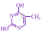 JEE Main 2013 Chemistry, Biomolecules — option D figure