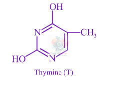 JEE Main 2013 Chemistry, Biomolecules — solution figure