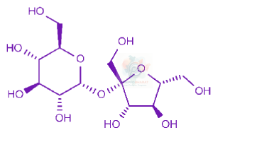 JEE Main 2013 Chemistry, Biomolecules — solution figure 1