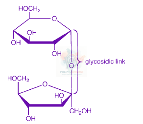 JEE Main 2013 Chemistry, Biomolecules — solution figure 2
