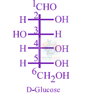 JEE Main 2013 Chemistry, Biomolecules — solution figure