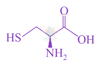 JEE Main 2016 Chemistry, Biomolecules — solution figure 1