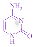 JEE Main 2016 Chemistry, Biomolecules — solution figure 3