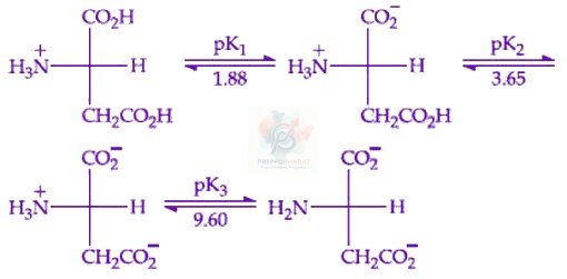 JEE Main 2016 Chemistry, Biomolecules — question figure