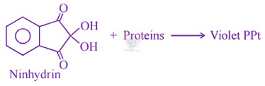 JEE Main 2016 Chemistry, Biomolecules — solution figure