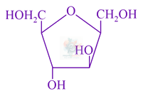 JEE Main 2017 Chemistry, Biomolecules — option A figure
