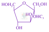 JEE Main 2017 Chemistry, Biomolecules — option B figure