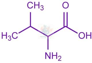JEE Main 2017 Chemistry, Biomolecules — solution figure