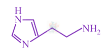 JEE Main 2018 Chemistry, Biomolecules — option B figure