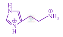 JEE Main 2018 Chemistry, Biomolecules — option C figure