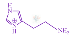 JEE Main 2018 Chemistry, Biomolecules — option D figure
