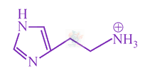 JEE Main 2018 Chemistry, Biomolecules — solution figure 2